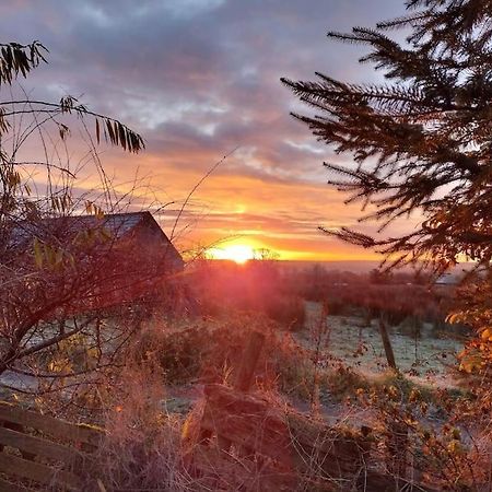 Forest View Cabin Ballaghaderreen Exterior foto