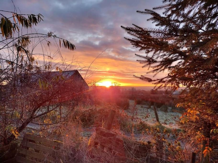 Forest View Cabin Ballaghaderreen Exterior foto