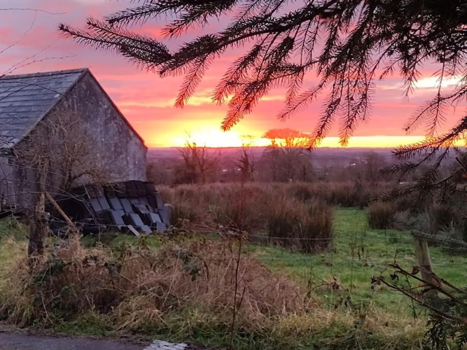Forest View Cabin Ballaghaderreen Exterior foto